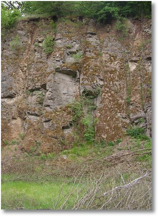 Alter Steinbruch Gestrüp