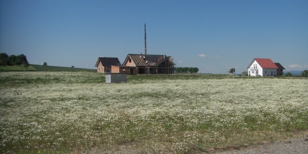 Mühlhäuser Feld