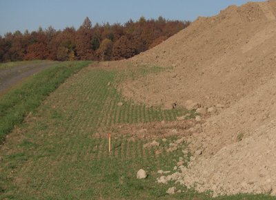 Verlust von Ackerland