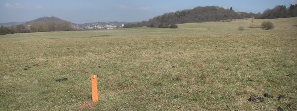 Hier soll eine Solaranlage entstehen