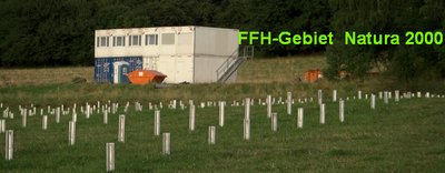 Baucontainer im FFH Gebiet