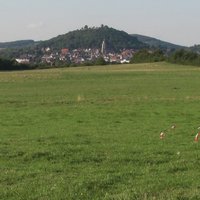 Blick auf Homberg unverbaut