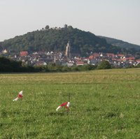 Markierung der Solarfelder