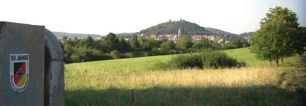 Solarparkfläche mit Stadtblick