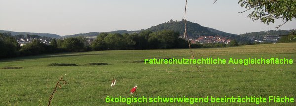 zweierlei Mass Blick auf Homberg