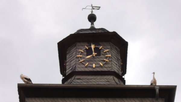 StÃ¶rche am Turm