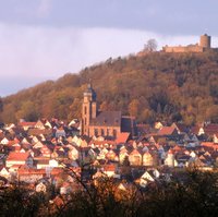 Homberg mit Burg