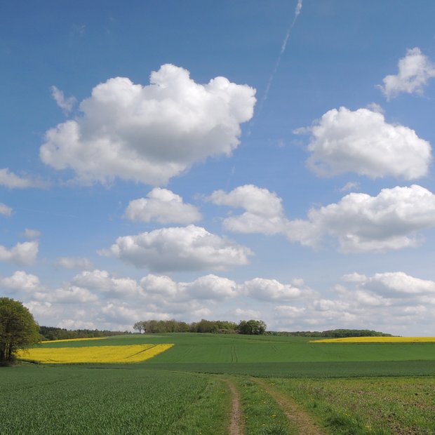 Maihimmel